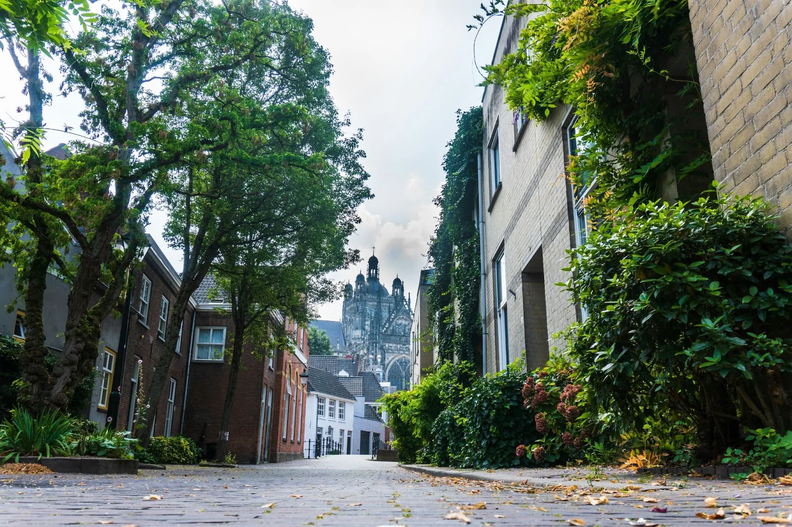 Den Bosch in beeld